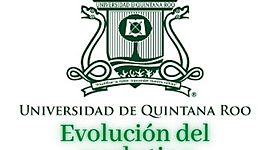 Timeline: Proceso Evolutivo - MARKETING