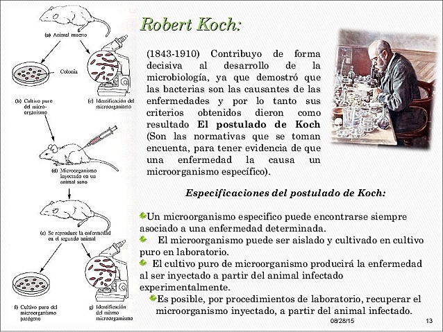 LA TEORÍA MICROBIANA SIN PASTEUR Y KOCH