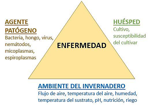 ¿LA TRÍADA DE ENFERMEDAD EN LA FITOP EN LA FITOPATOLOGÍA?