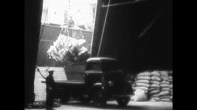 Nomenclatura de Ginebra.