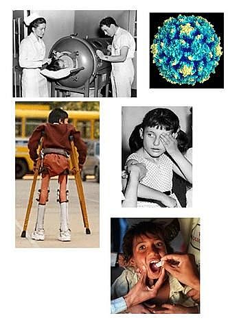 Primer Boletín Epidemiológico de Antioquia Y Plan Rosado