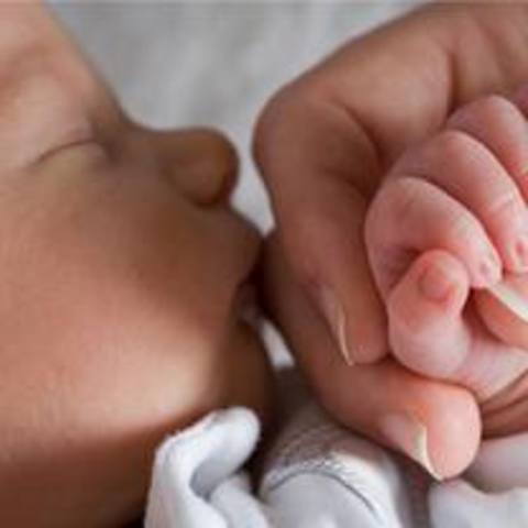 Fecha de nacimiento de Guillermo Adrián Rojas Florián