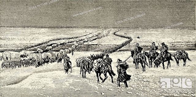 Powder River Expedition