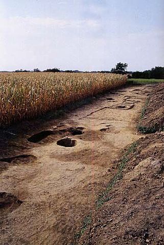 Cultura di Sammardenchia e Fagnigola (Friuli) - 5300 a.c. - 4900 a.c.