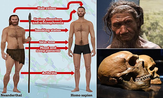 Jegere og Samlere&nbsp;-&nbsp;KAPITTEL&nbsp;1