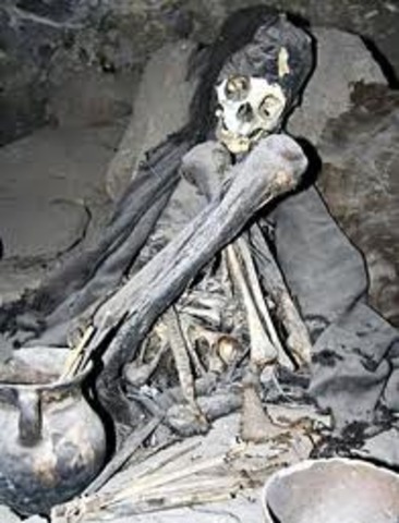 The tasmania Aboriginal people