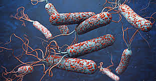 primera pandemia del cólera