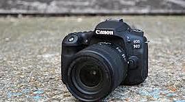 Timeline: Photograph