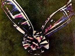 The First colored  Picture