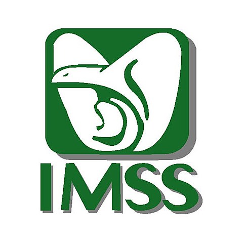 El IMSS obligado a respetar los derechos de los matrimonios homosexuales