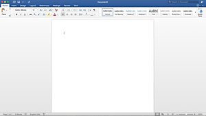 Microsoft Word