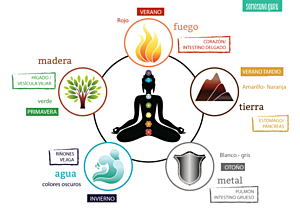 Medicina Tradicional China