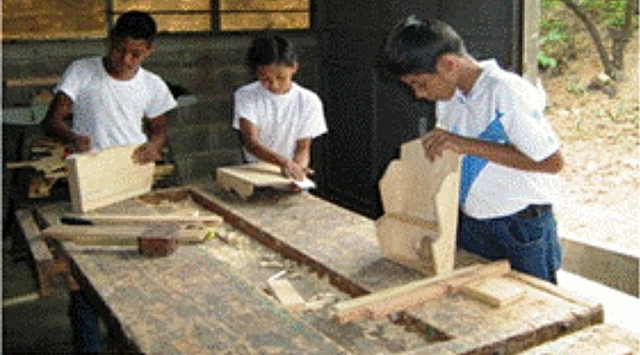 Los Institutos del Programa PEMEM