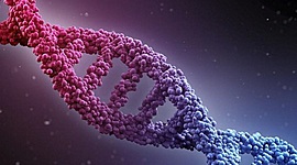 Timeline: Cronologia de grandes descobertas na Genética