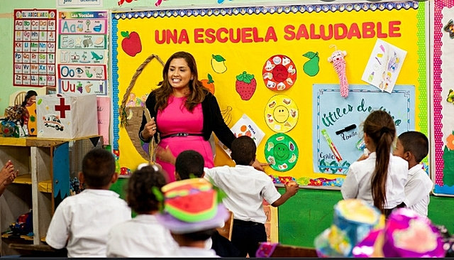 Escuelas Saludables, Naturaleza bondades y limitaciones.