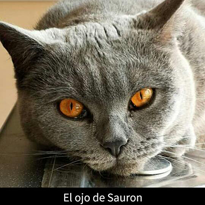 Timeline: El Electromagnetismo, la Ciencia y la Tecnología