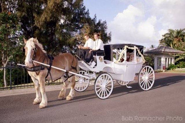 The last day horse and buggy carriages where the most common way to get around in America.