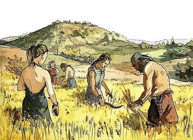 Primeros grupos sedentarios