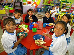 Las escuelas saludables, naturaleza bondades y limitaciones