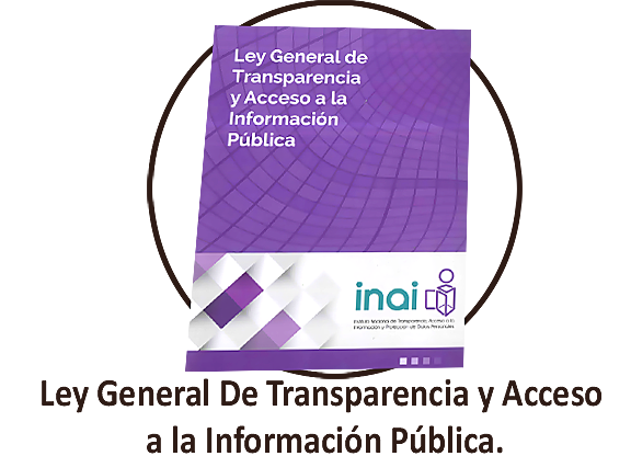 Es publicada la Ley General de Transparencia y Acceso a la Información Pública