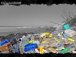 Playas de plástico