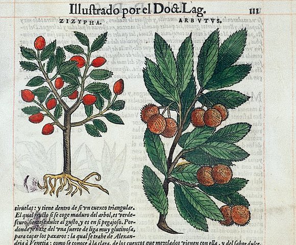 Primer material médico verdadero