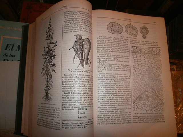 "Dispensario" primer farmacopea impresa