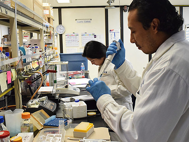 Primer laboratorio experimental farmacologico