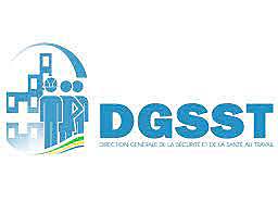 el 21 de  diciembre de 2001 se cambio el nombre de la dirección general de seguridad e higiene del trabajo por el de dirección general de seguridad yb salud en el trabajo (DGSST)