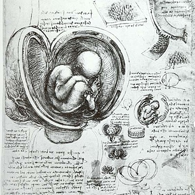 Timeline: Línea del tiempo de las aportaciones de los científicos a la historia de la embriología