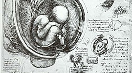 Timeline: Línea del tiempo de las aportaciones de los científicos a la historia de la embriología