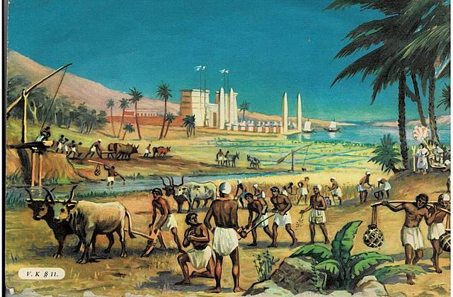 Organizaciones mutualistas