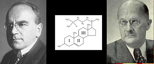 Heinrich Wieland y Adolf Windaus