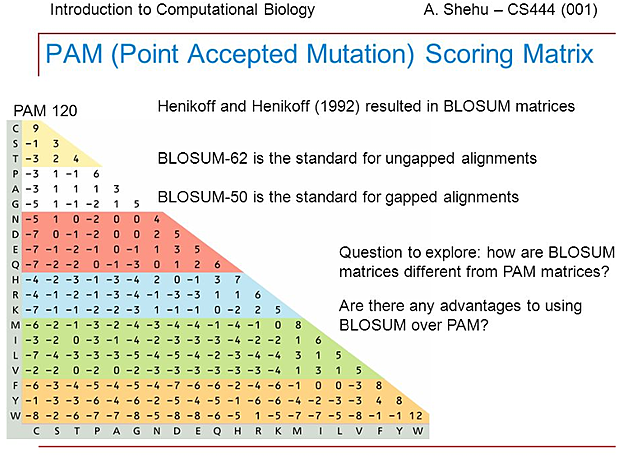 Matriz de sustitución aminoácidos
