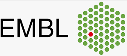 EMBL (European Molecular Biology Laboratory)