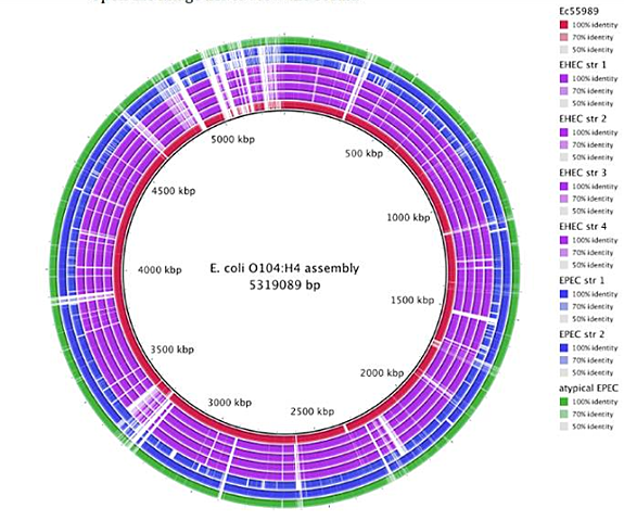 Secuenciación E. coli