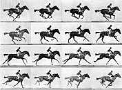 The First Film Ever Made