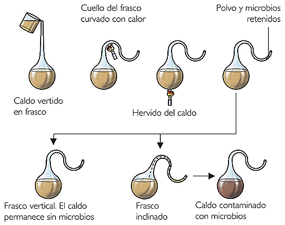 Experimento de Pasteur
