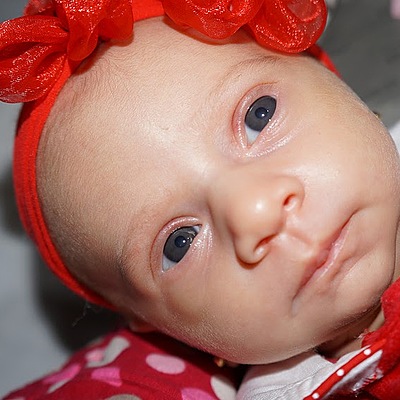 Timeline: Vida da Júlia