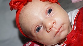 Timeline: Vida da Júlia