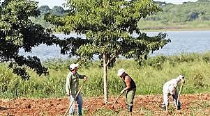 Dotación de Tierras