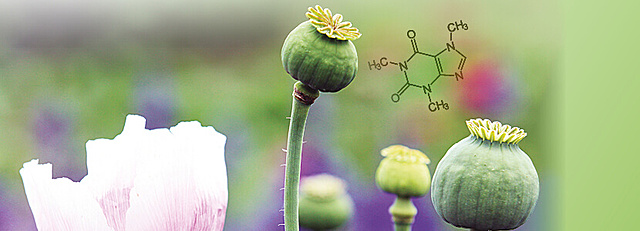 Primera y segunda generación de medicamentos