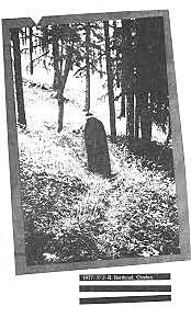 Definiciones diagnosticas (Rieben, Roth,Schimid-Kitsikis)