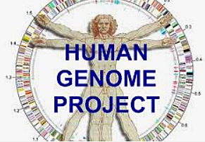 Genoma Humano