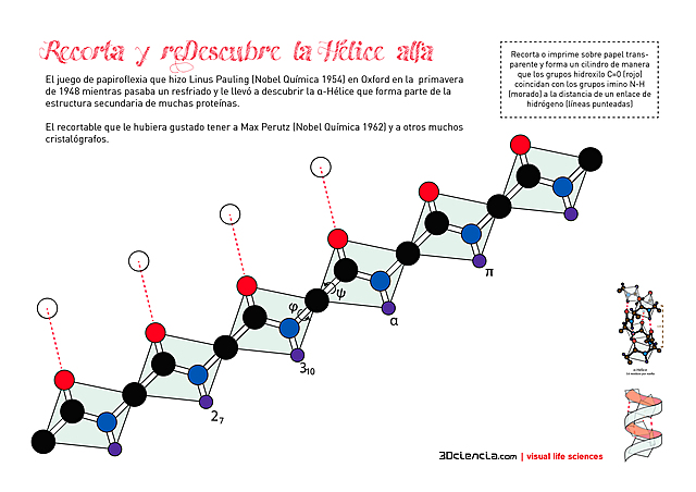 publicación del aminoacido