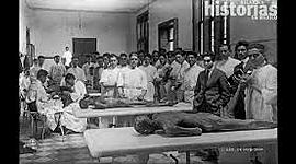 Timeline: Salud-Enfermedad