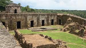 La Origen de las Olmecas.