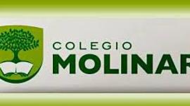 Timeline: Historia de mi colegio