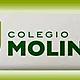 Colegio molinari