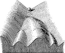 Conrad Hal Waddington